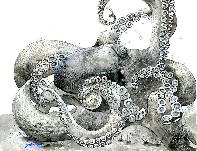 octopus-ink-illustration-amber-moran-art-black-drawing-sale-unique