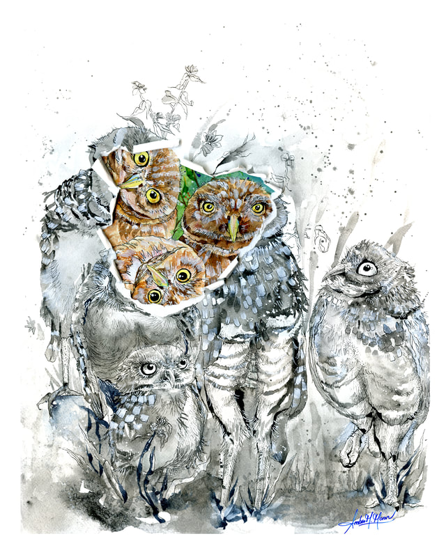 owl-art-moran-painting--illustration-peekaboo