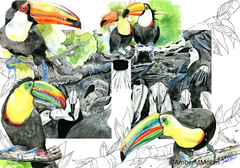 tucan-art-decor-moran-birds-tropical-watercolor-illustration