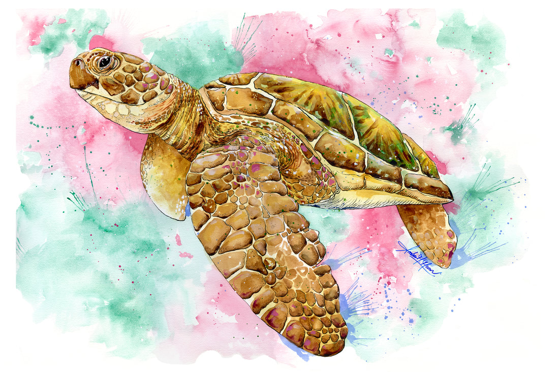 loggerhead-turtle-amber-moran-ocean-sea-art-painting